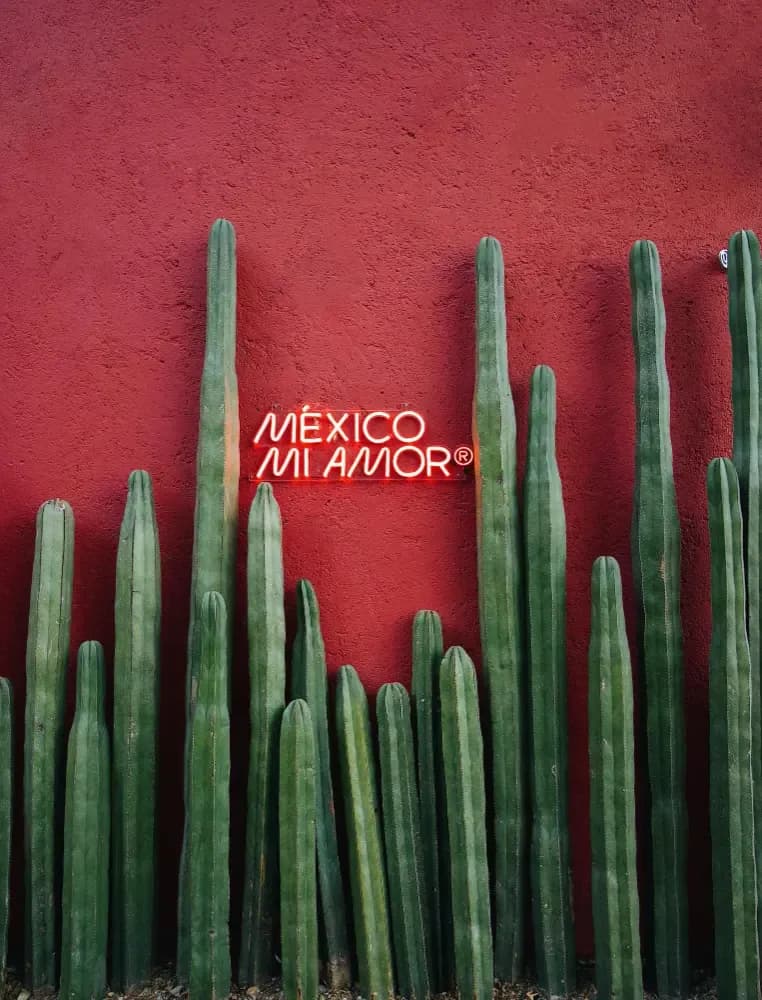 eSIM Mexico