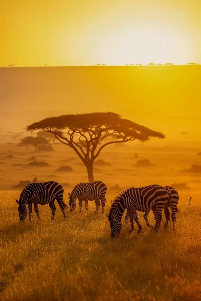 eSIM África do Sul