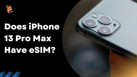 Does iPhone 13 Pro Max Have eSIM?
