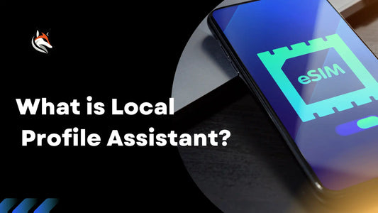 What is Local Profile Assistant?