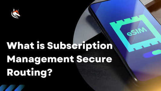What is Subscription Management Secure Routing?