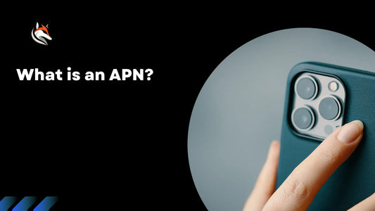 What is an APN?