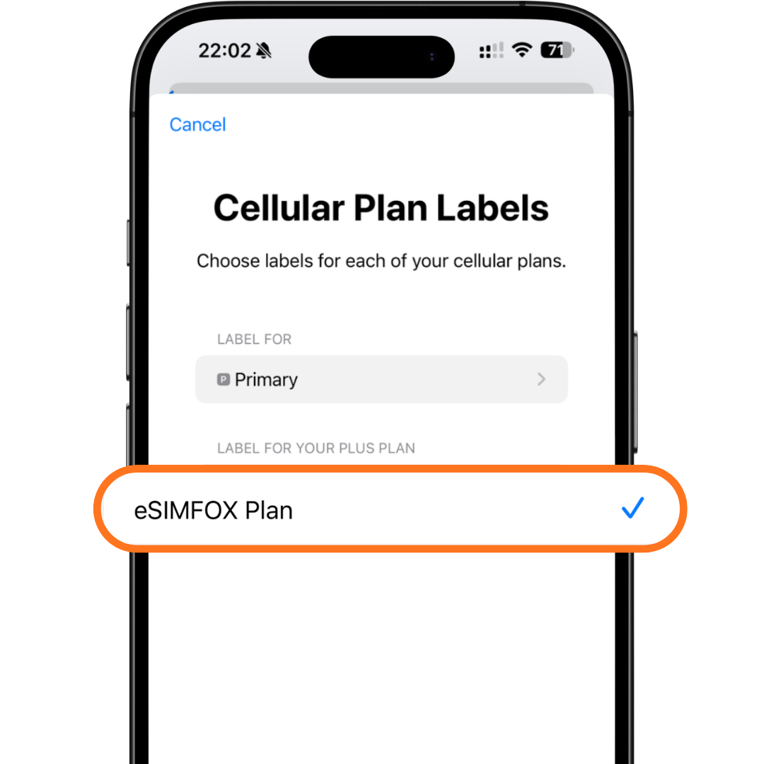 eSIM setup screen