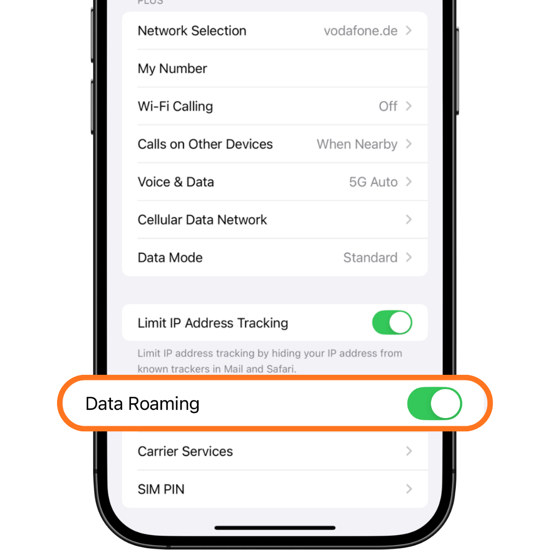 eSIM setup screen